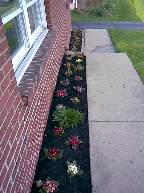 Image012.jpg