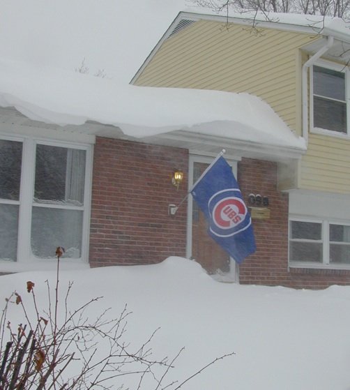 snow-cubs.jpg